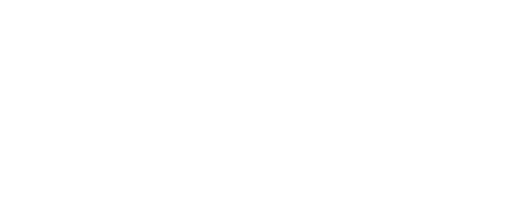 Logo BOLDT
